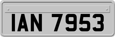 IAN7953