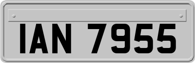 IAN7955
