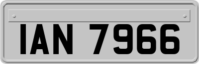IAN7966