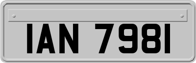 IAN7981