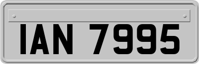 IAN7995