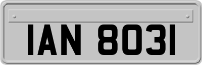 IAN8031