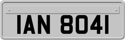 IAN8041