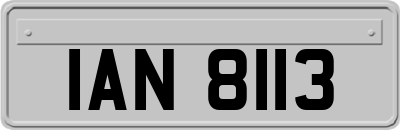 IAN8113