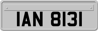 IAN8131