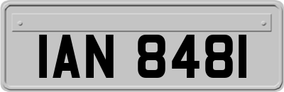 IAN8481