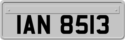 IAN8513