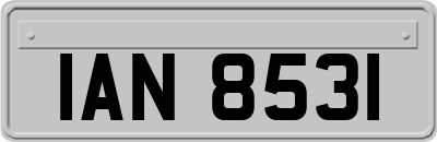 IAN8531