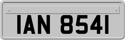 IAN8541
