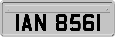 IAN8561