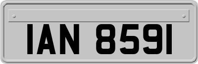IAN8591