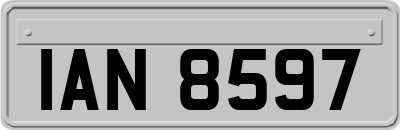 IAN8597
