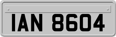 IAN8604