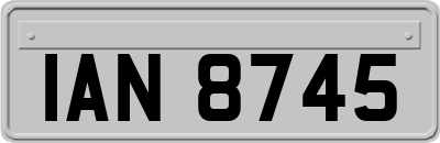 IAN8745