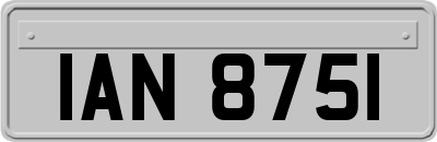 IAN8751
