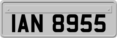 IAN8955