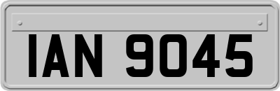 IAN9045