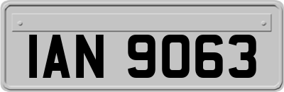 IAN9063