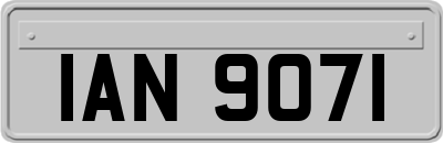 IAN9071