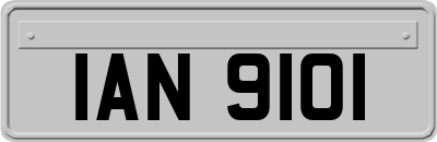 IAN9101