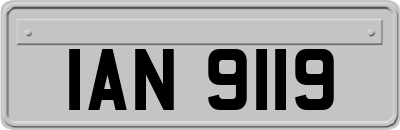 IAN9119