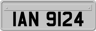 IAN9124