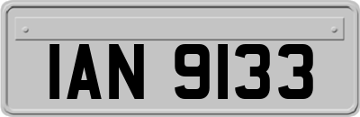 IAN9133
