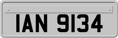 IAN9134