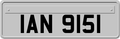 IAN9151