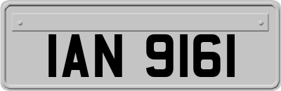 IAN9161