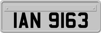 IAN9163