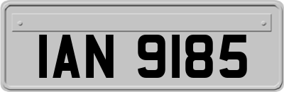 IAN9185