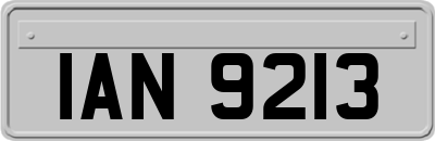 IAN9213