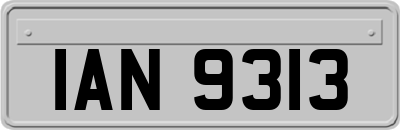 IAN9313