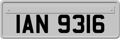 IAN9316