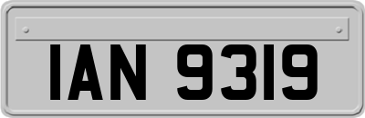 IAN9319