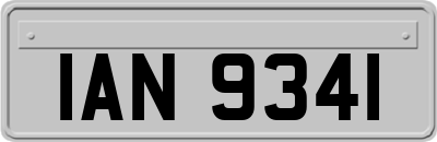 IAN9341