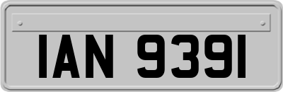 IAN9391