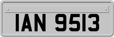 IAN9513