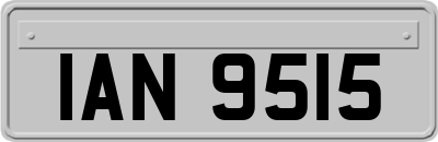 IAN9515