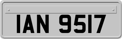 IAN9517