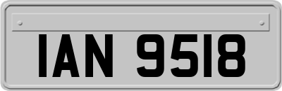 IAN9518