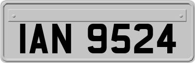 IAN9524