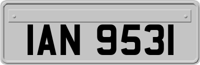 IAN9531
