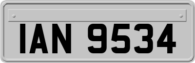 IAN9534