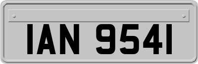 IAN9541