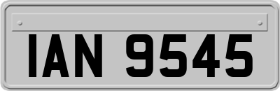 IAN9545