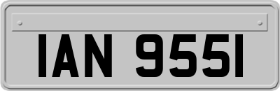 IAN9551