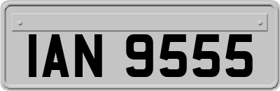 IAN9555