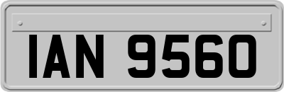 IAN9560